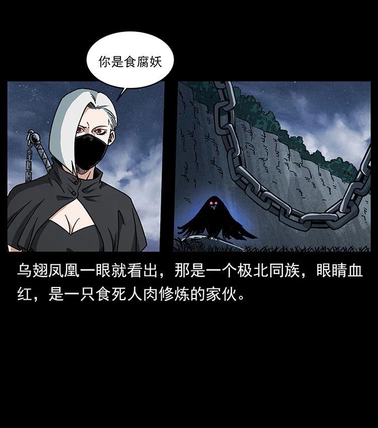 幽冥诡匠 484 极地鸦族 第23页