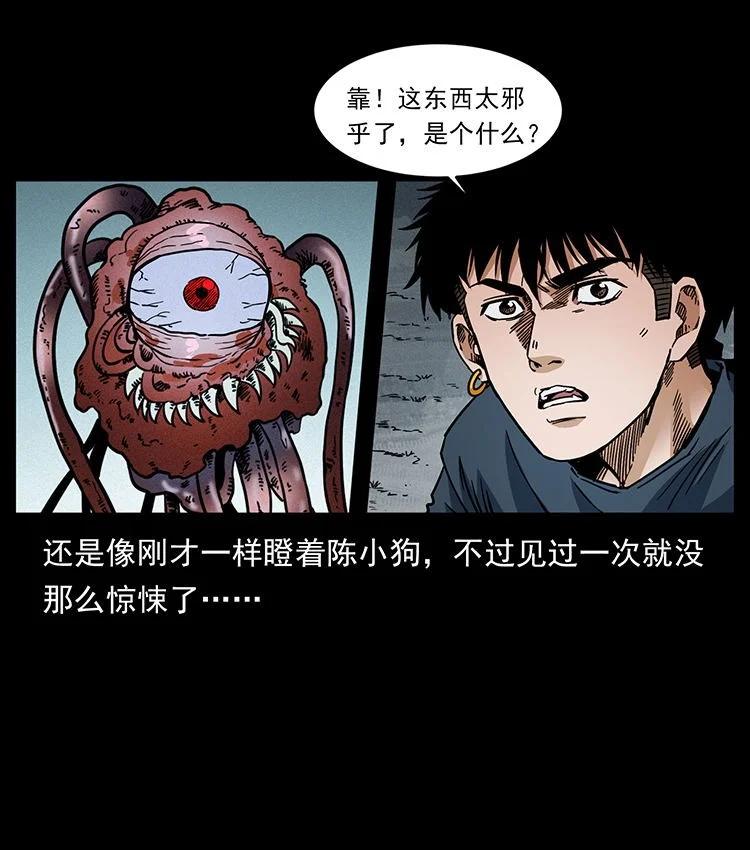 幽冥诡匠 485 本核 第29页