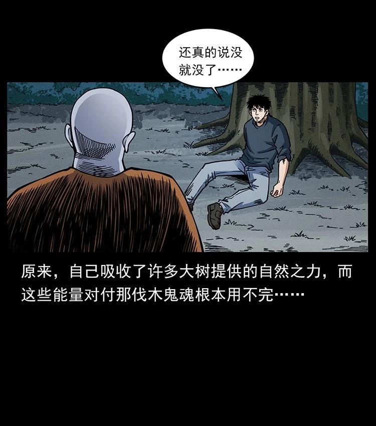 幽冥诡匠 485 本核 第33页