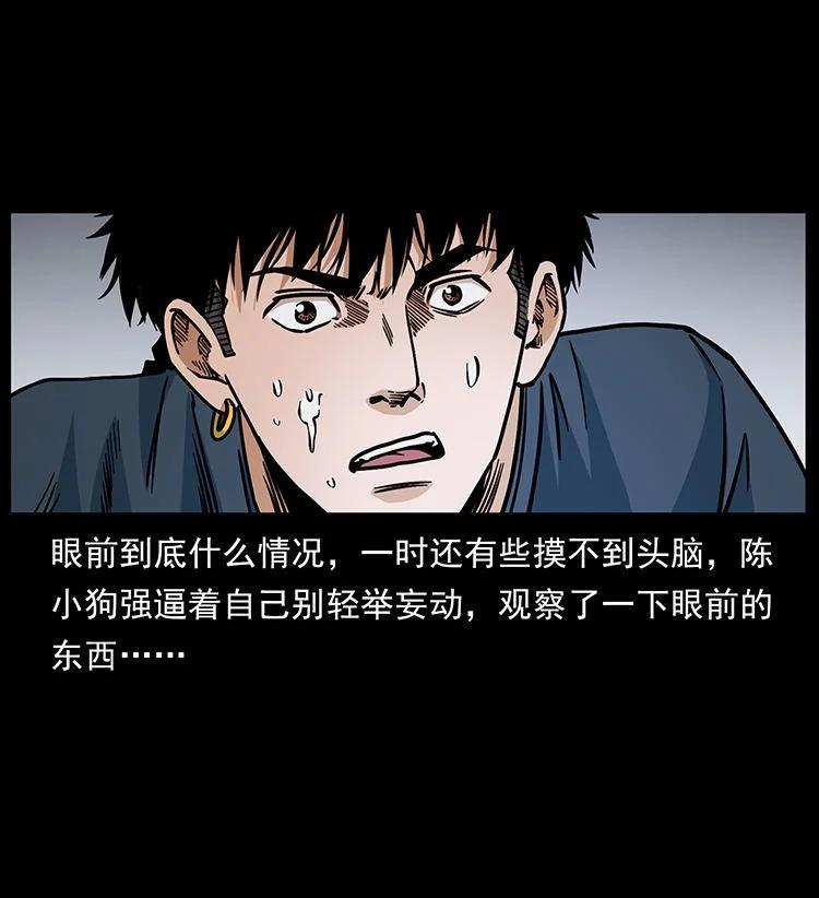 幽冥诡匠 485 本核 第5页