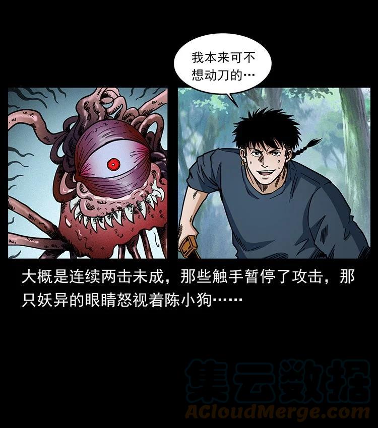 幽冥诡匠 485 本核 第13页
