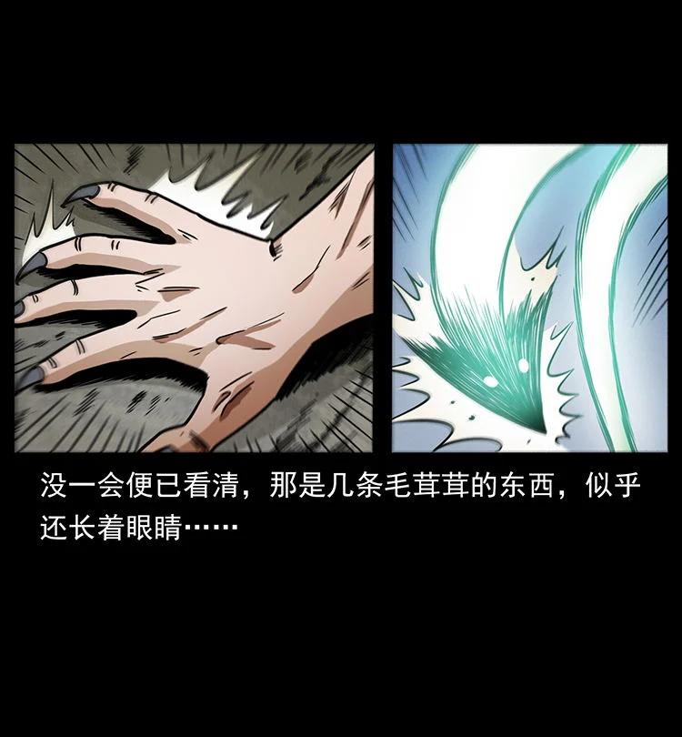 幽冥诡匠 486 人与狐 第33页