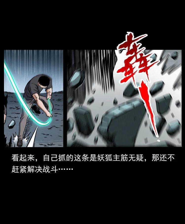 幽冥诡匠 486 人与狐 第48页