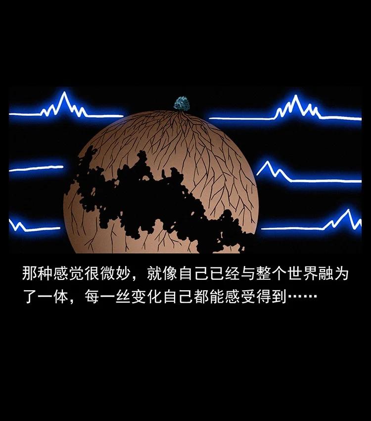 幽冥诡匠 488 生或是死 第17页