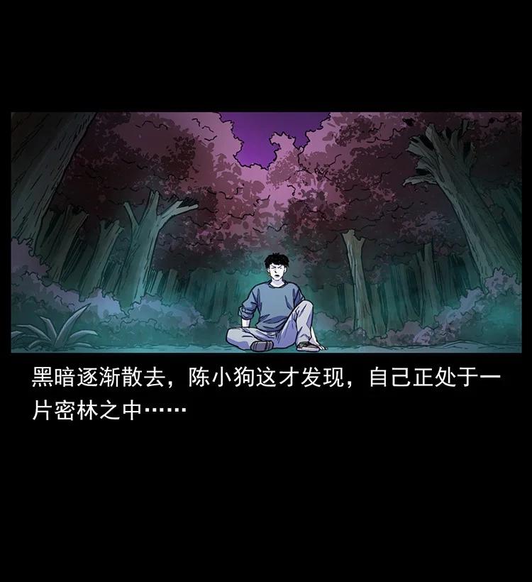 幽冥诡匠 489 劫难一重重 第41页