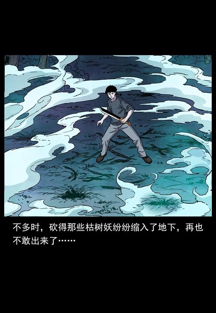 幽冥诡匠 489 劫难一重重 第71页
