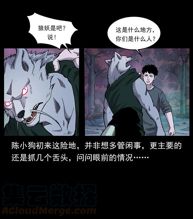 幽冥诡匠 490 黑暗森林 第28页