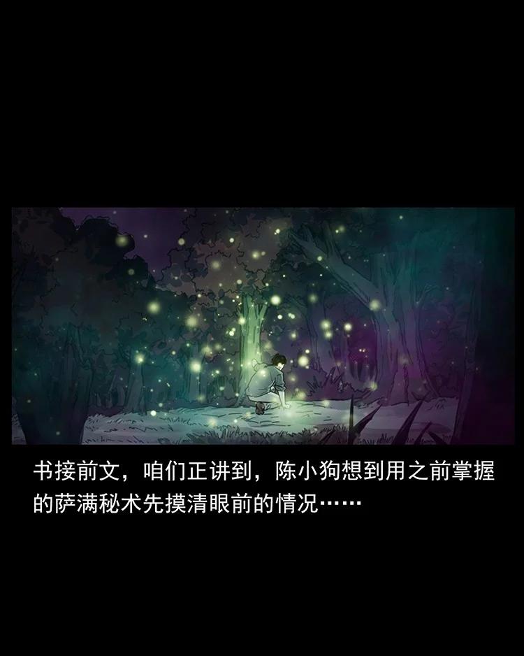 幽冥诡匠 490 黑暗森林 第2页