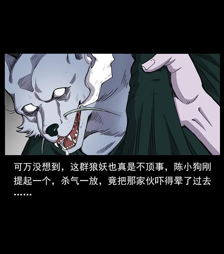 幽冥诡匠 490 黑暗森林 第30页
