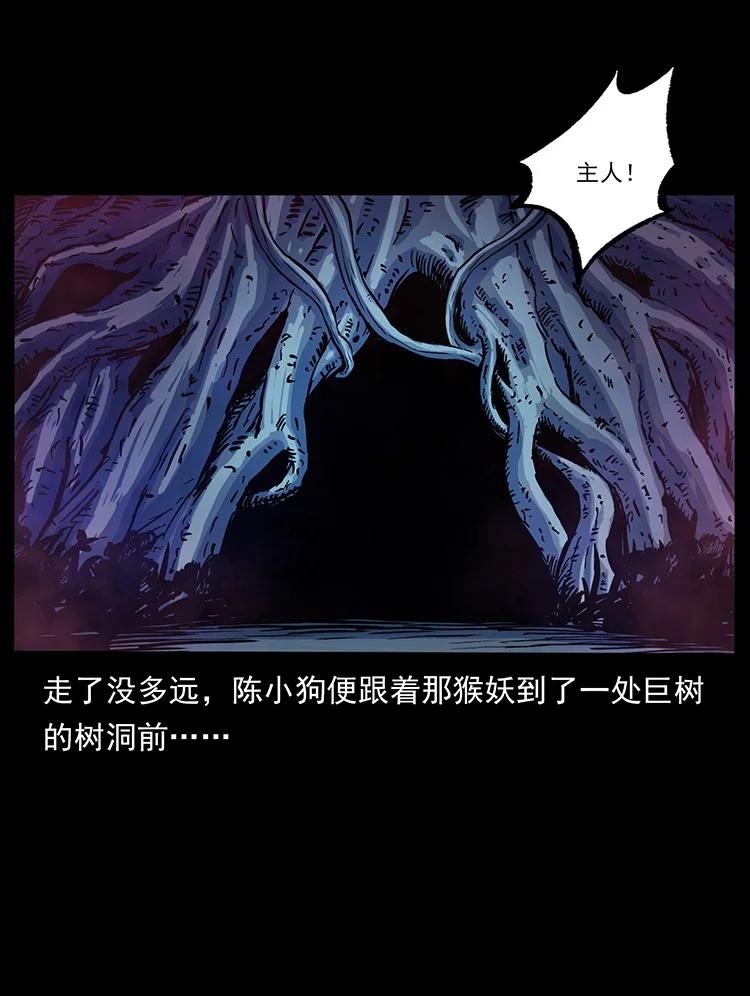 幽冥诡匠 490 黑暗森林 第42页