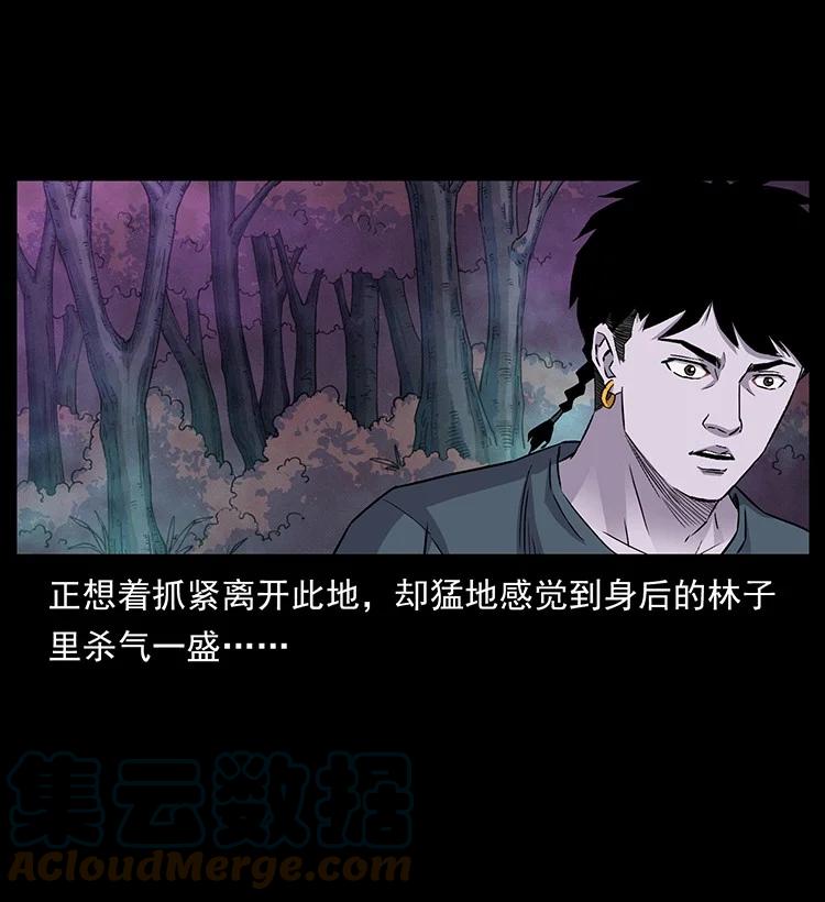 幽冥诡匠 490 黑暗森林 第19页