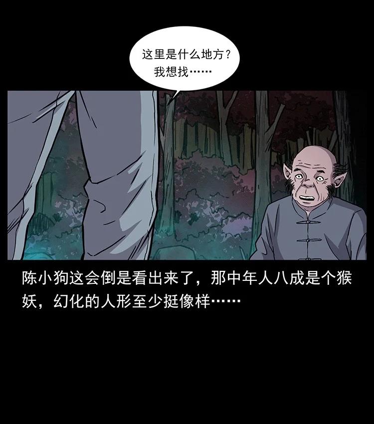 幽冥诡匠 490 黑暗森林 第36页
