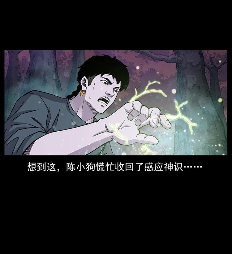 幽冥诡匠 490 黑暗森林 第17页