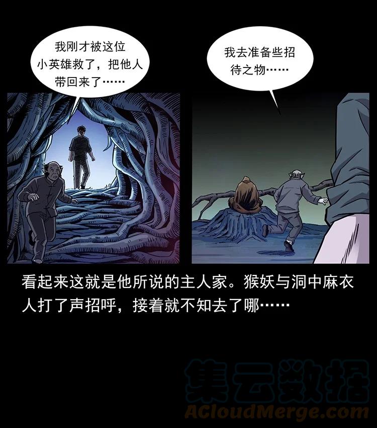 幽冥诡匠 490 黑暗森林 第43页