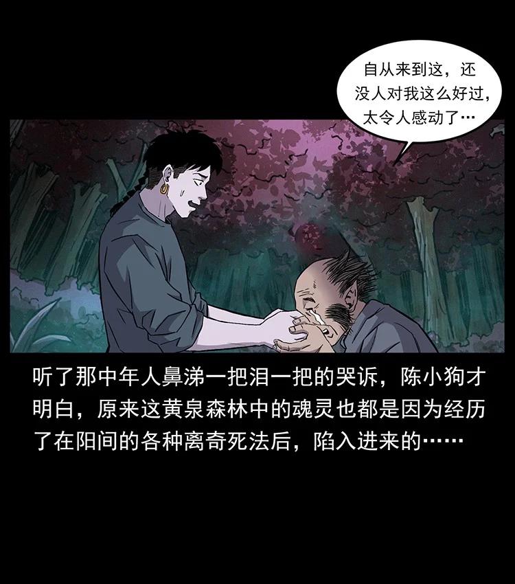 幽冥诡匠 490 黑暗森林 第38页