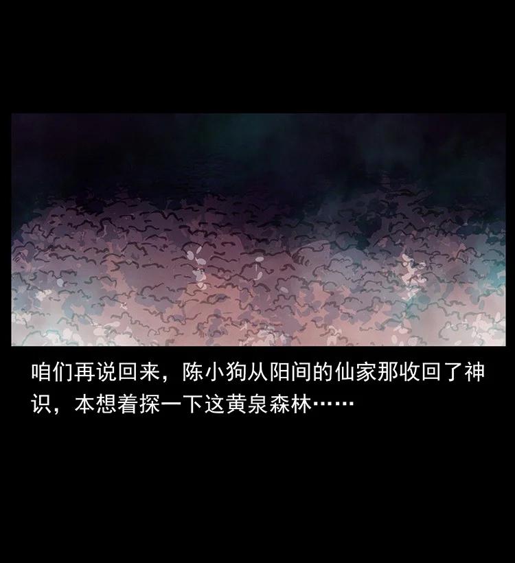 幽冥诡匠 490 黑暗森林 第14页