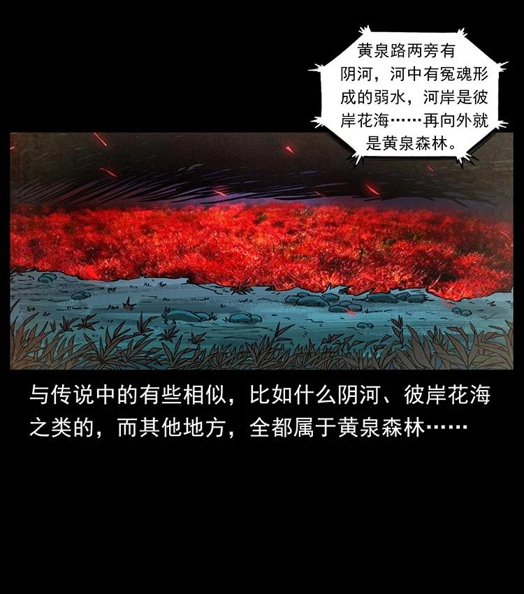 幽冥诡匠 490 黑暗森林 第72页