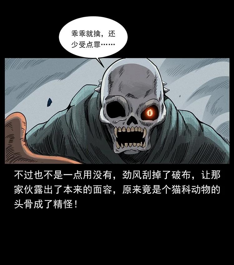 幽冥诡匠 491 硬刚 第48页