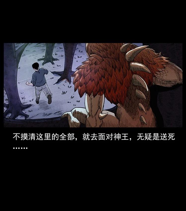 幽冥诡匠 492 一路危机 第14页