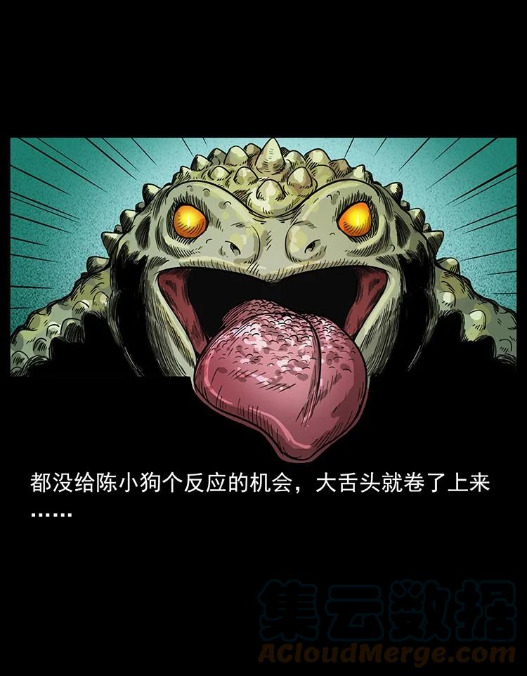 幽冥诡匠 492 一路危机 第61页