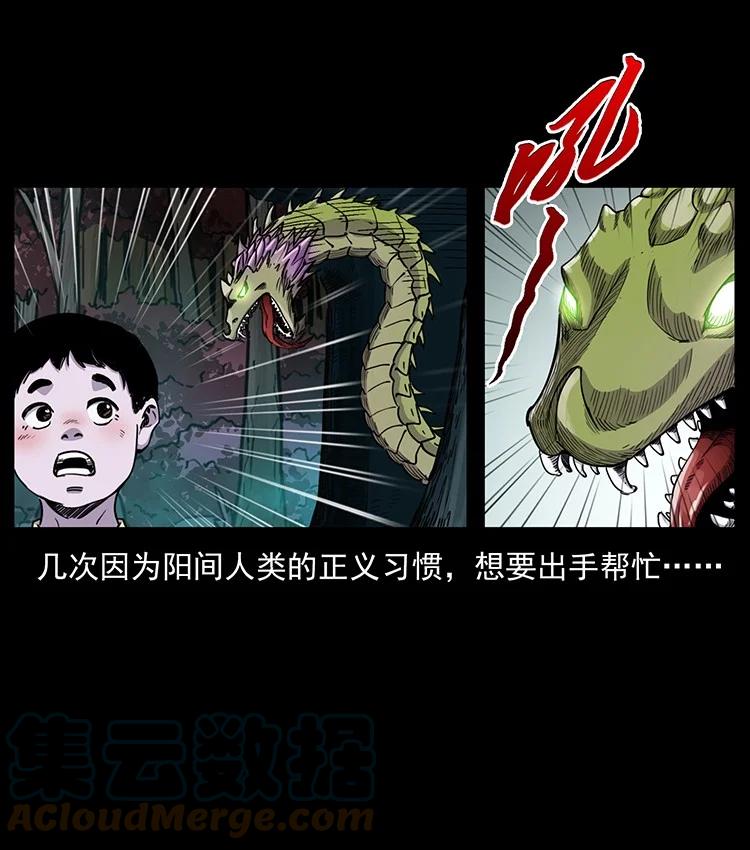 幽冥诡匠 492 一路危机 第46页