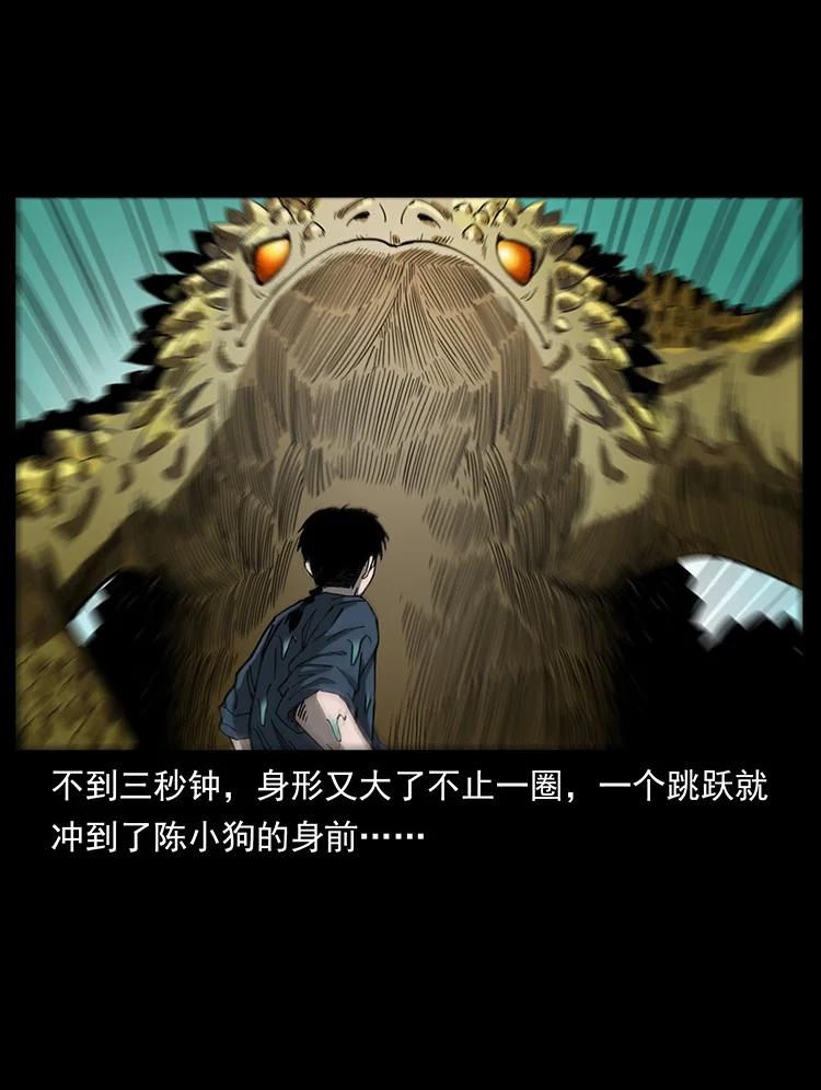 幽冥诡匠 492 一路危机 第80页