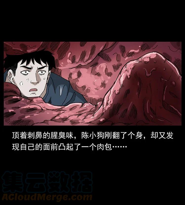 幽冥诡匠 492 一路危机 第64页