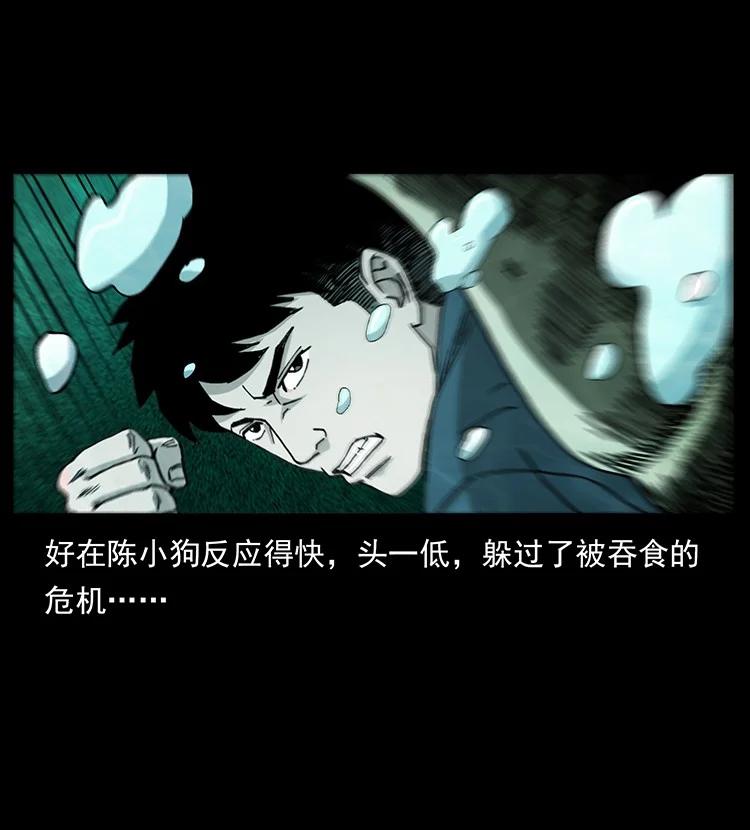 幽冥诡匠 492 一路危机 第74页