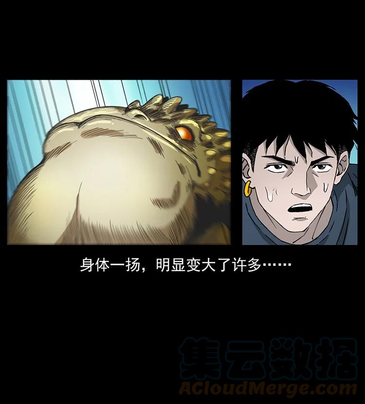 幽冥诡匠 492 一路危机 第79页