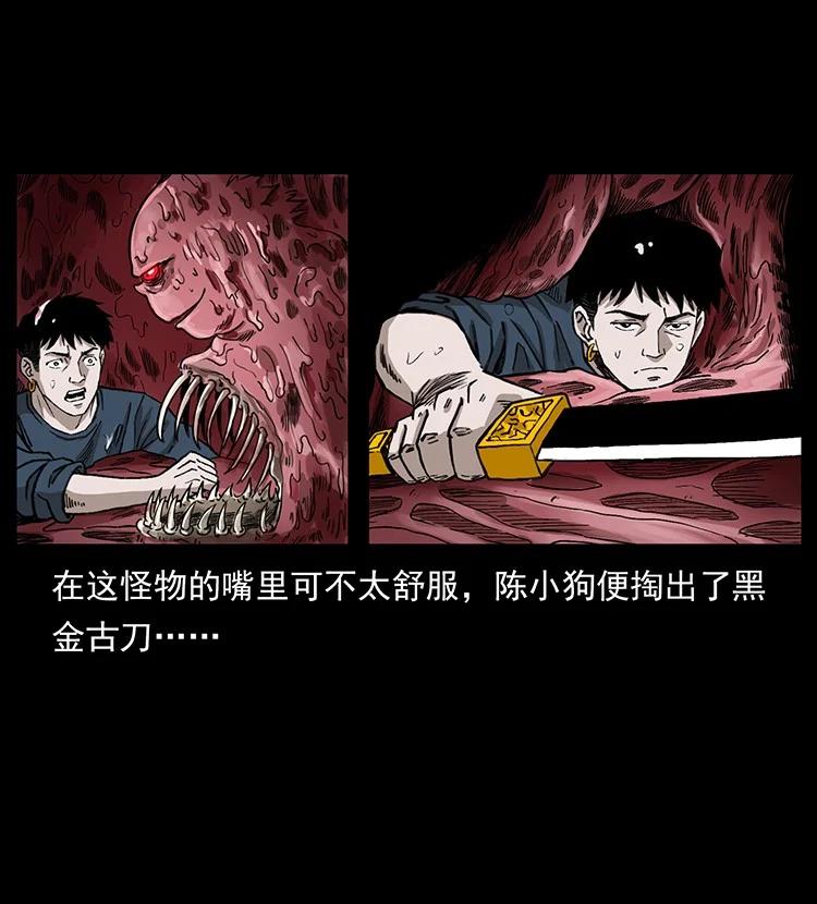 幽冥诡匠 492 一路危机 第66页