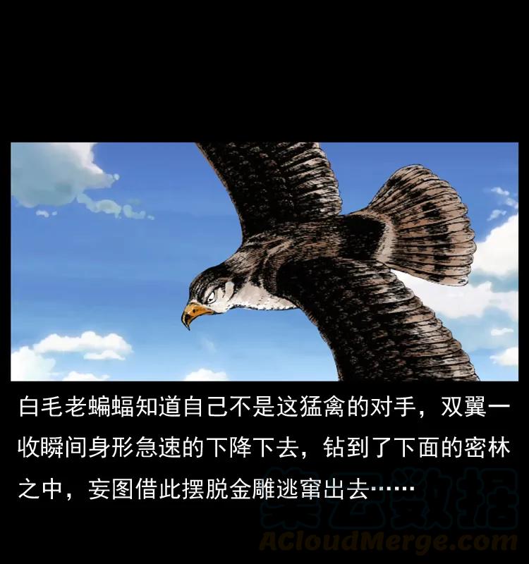 幽冥诡匠 049 刨尸狗传奇2 第17页