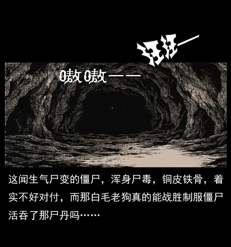 幽冥诡匠 049 刨尸狗传奇2 第72页