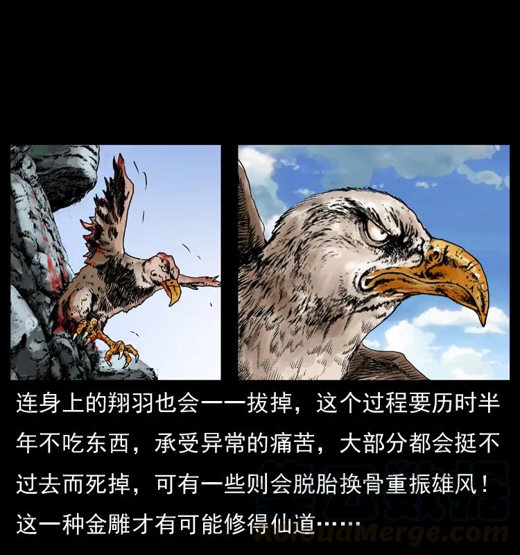 幽冥诡匠 049 刨尸狗传奇2 第13页