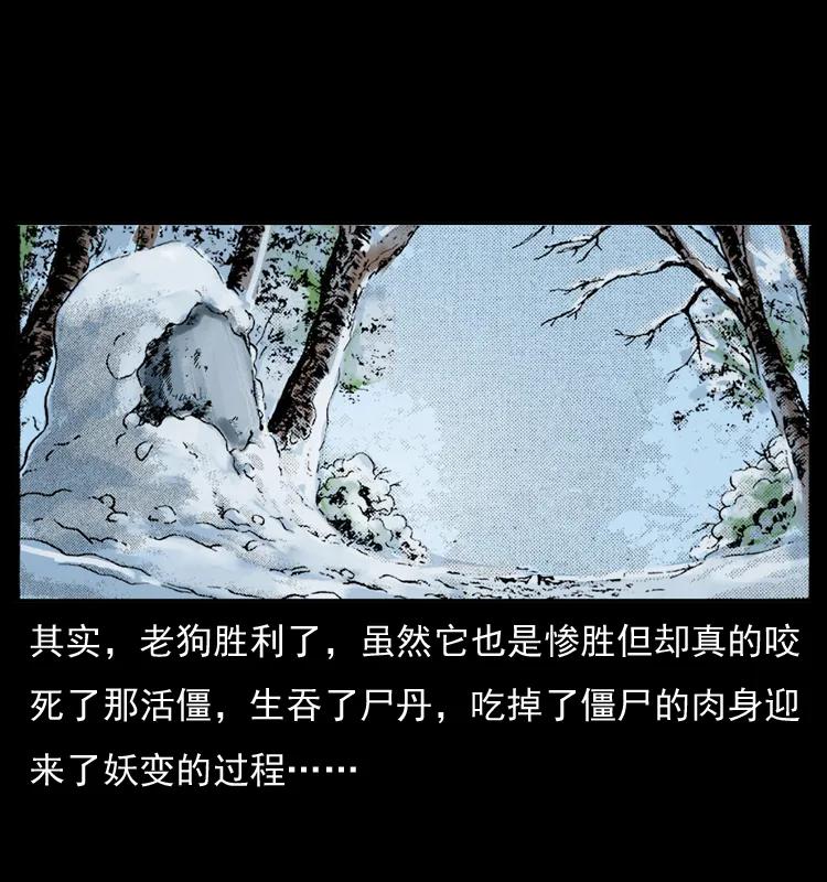 幽冥诡匠 049 刨尸狗传奇2 第74页