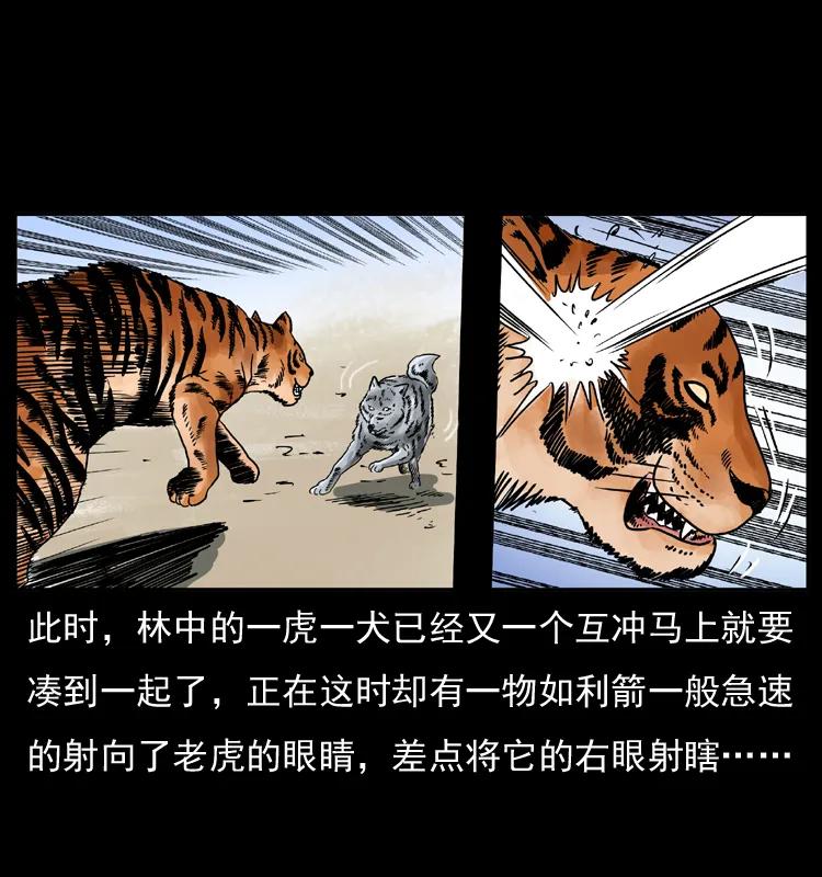 幽冥诡匠 049 刨尸狗传奇2 第35页