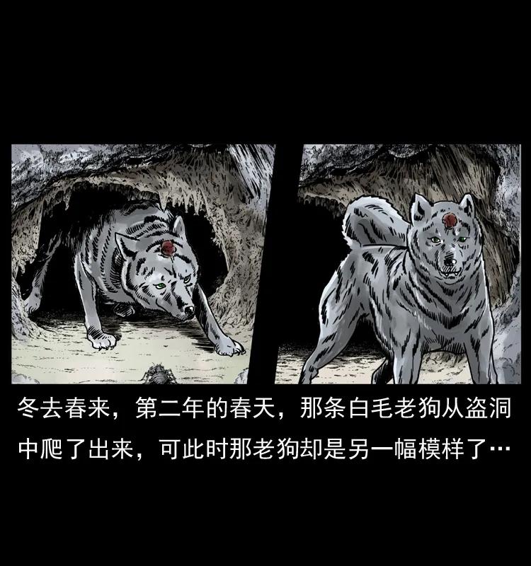 幽冥诡匠 049 刨尸狗传奇2 第76页