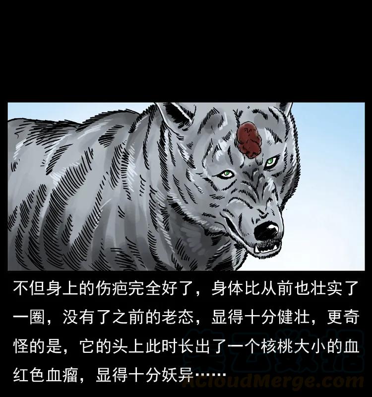 幽冥诡匠 049 刨尸狗传奇2 第77页