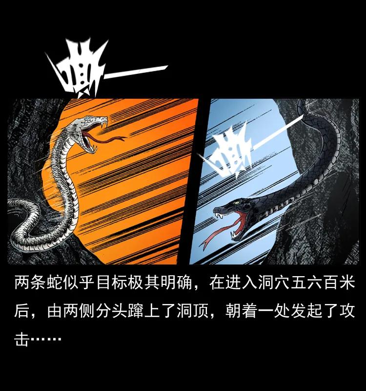 幽冥诡匠 049 刨尸狗传奇2 第4页