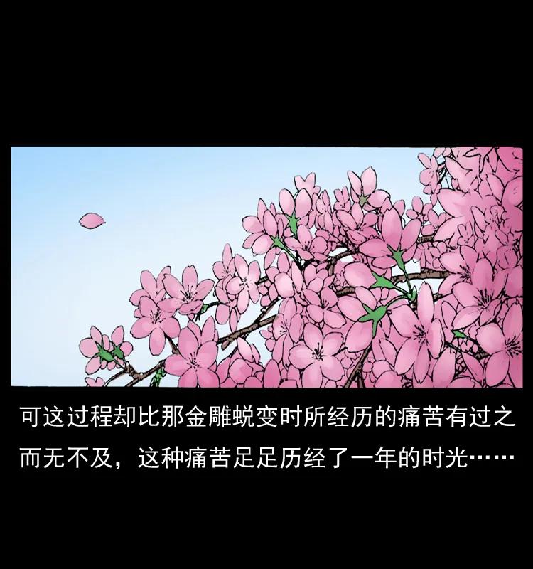 幽冥诡匠 049 刨尸狗传奇2 第75页