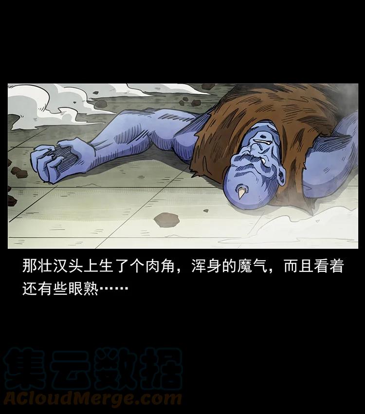 幽冥诡匠 498 陆地神仙 第25页