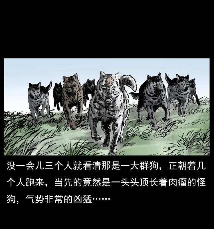 幽冥诡匠 050 刨尸狗传奇3 第30页