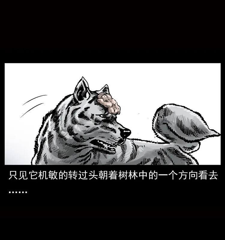 幽冥诡匠 050 刨尸狗传奇3 第6页