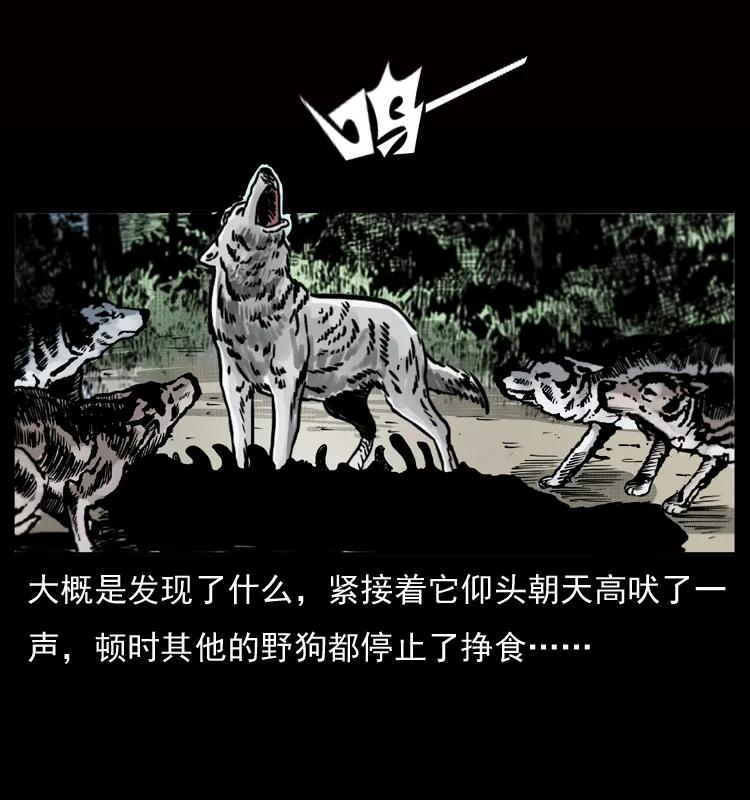 幽冥诡匠 050 刨尸狗传奇3 第7页