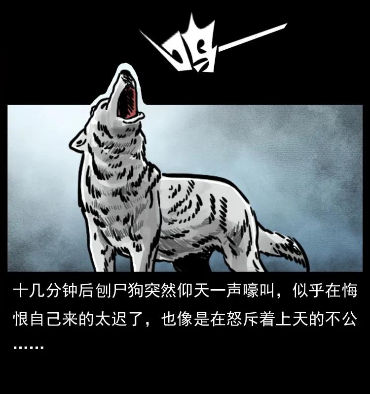 幽冥诡匠 050 刨尸狗传奇3 第48页