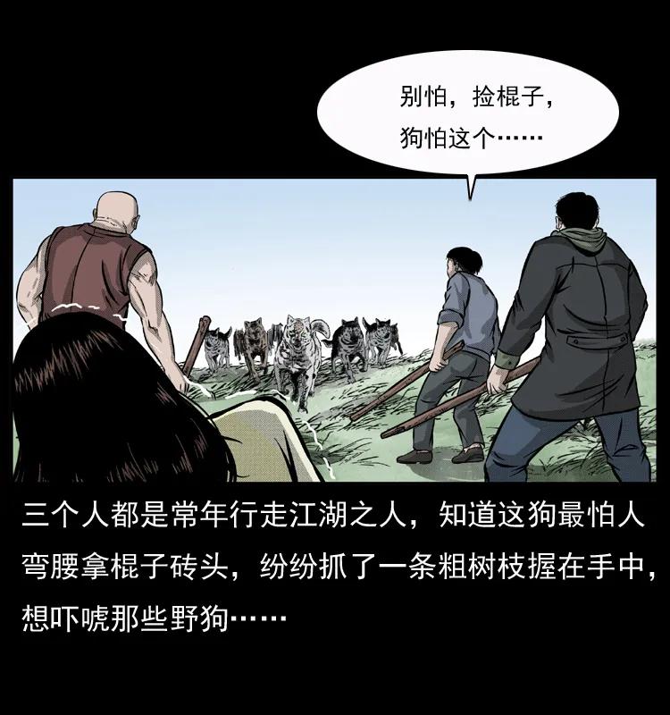 幽冥诡匠 050 刨尸狗传奇3 第31页