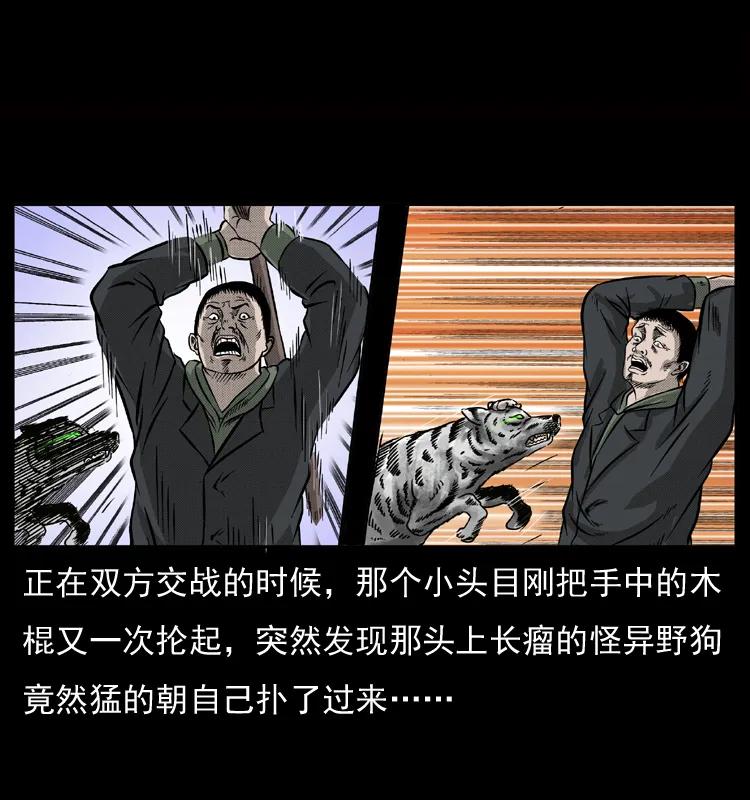 幽冥诡匠 050 刨尸狗传奇3 第35页