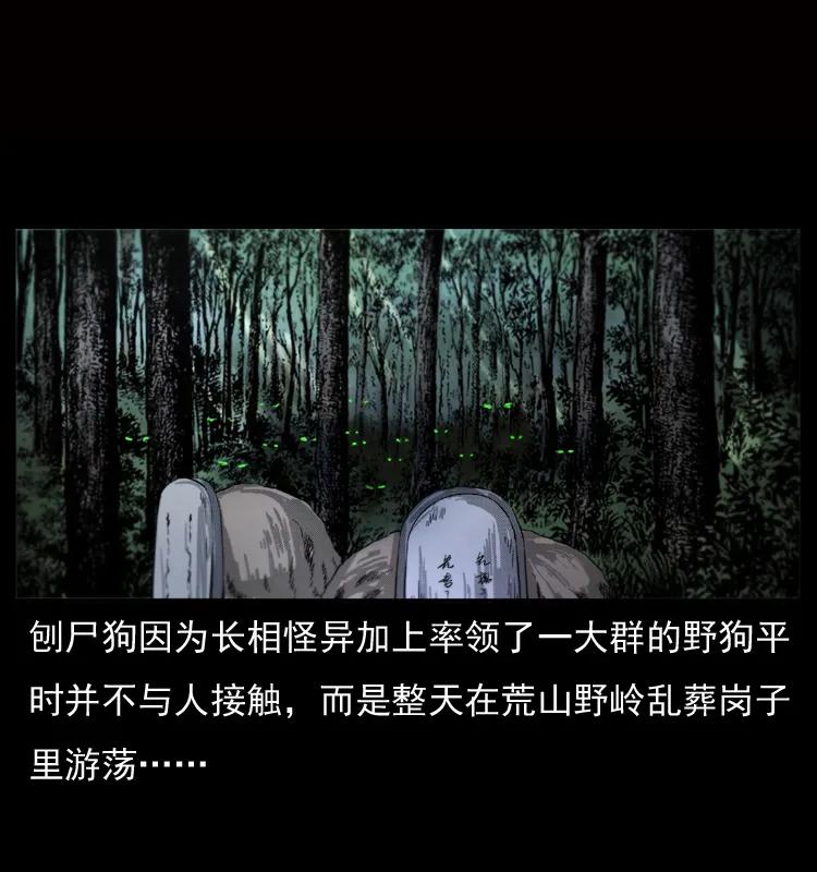 幽冥诡匠 050 刨尸狗传奇3 第3页