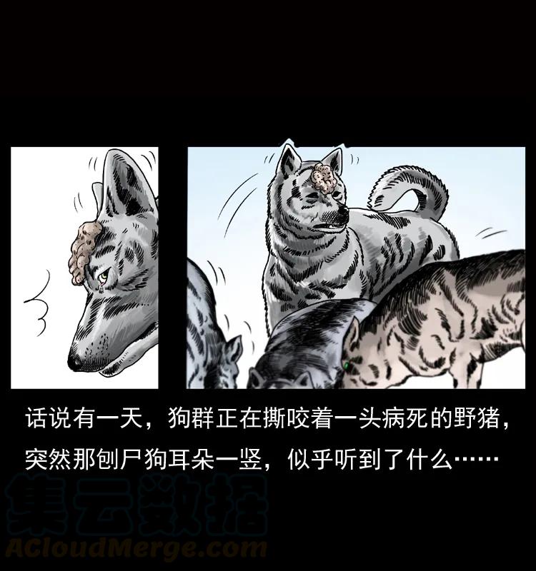 幽冥诡匠 050 刨尸狗传奇3 第5页