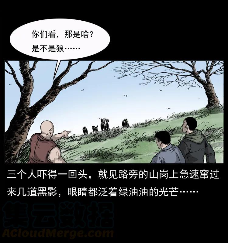幽冥诡匠 050 刨尸狗传奇3 第29页