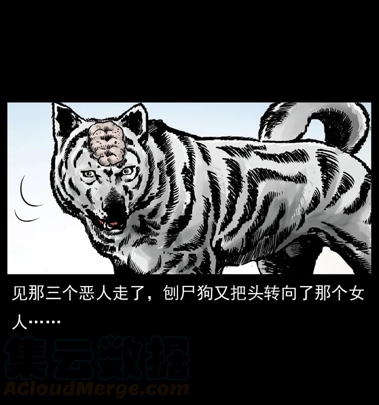 幽冥诡匠 050 刨尸狗传奇3 第41页